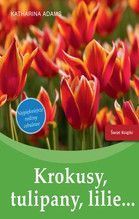 KROKUSY TULIPANY LILIE